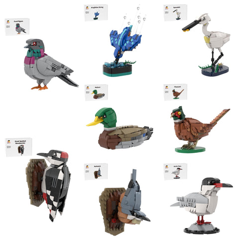 Designer SKABRAM's bird animal collection Building Blocks (8 MOCs) - LesDiy - Building Blocks